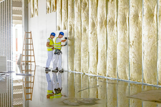 Types of Insulation We Offer in Berwyn, PA